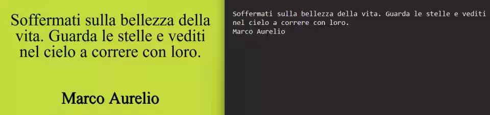 Immagine 3 image3