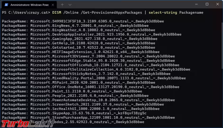Immagine 4 image4