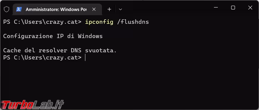 Immagine 4 image4