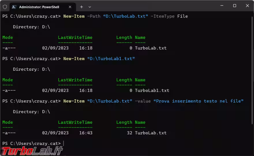 Immagine 4 image4