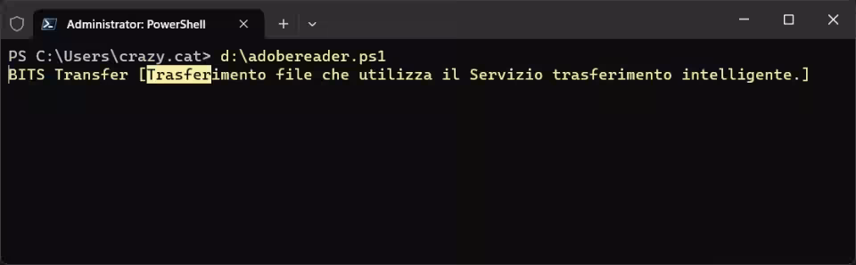 Immagine 4 image4