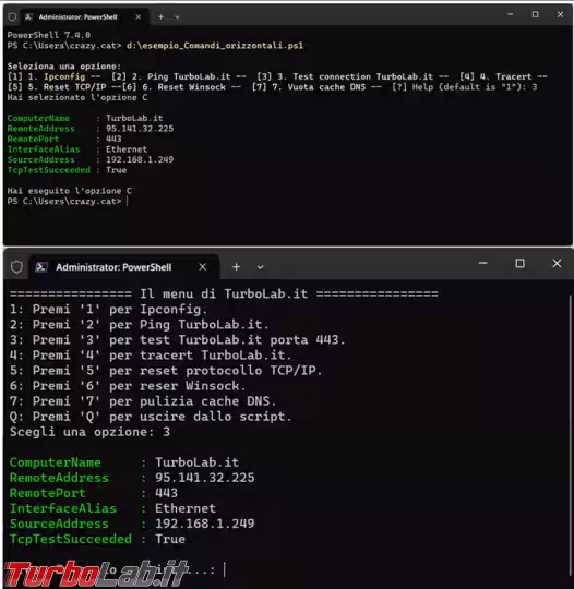 Immagine 4 image4