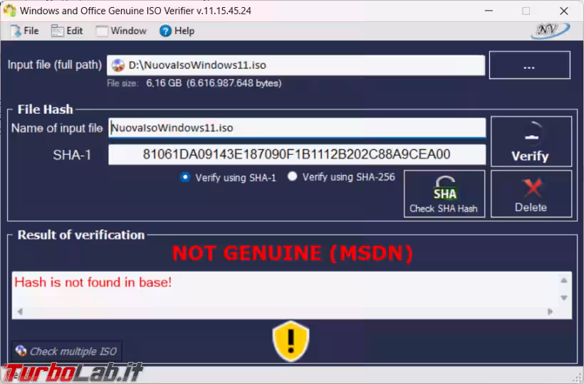 Immagine 4 image4