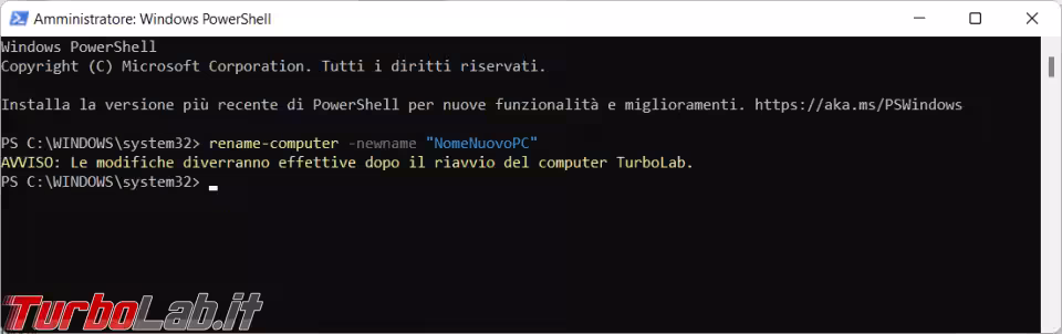 Immagine 5 image5