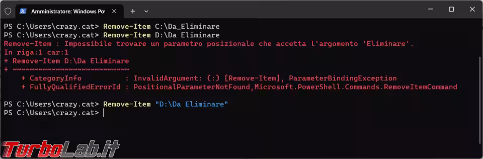 Immagine 5 image5
