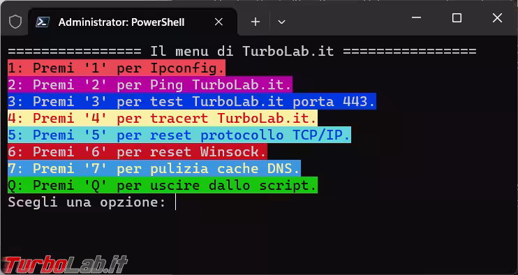 Immagine 5 image5