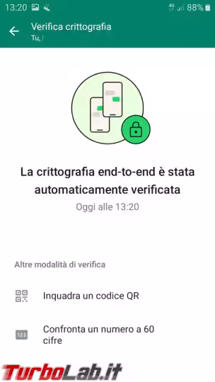 Immagine 5 image5