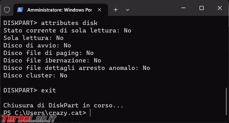 Immagine 6 image6