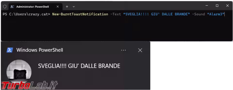 Immagine 6 image6