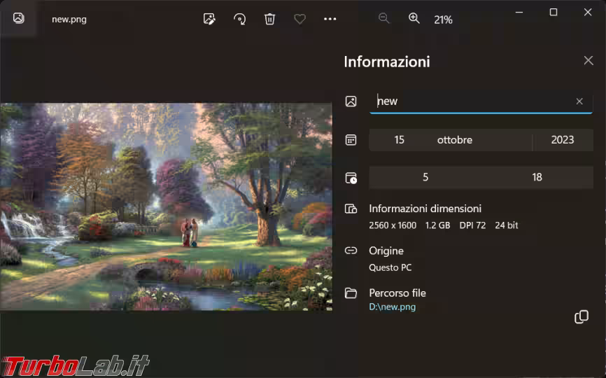 Immagine 6 image6