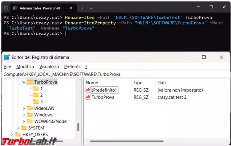 Immagine 6 image6
