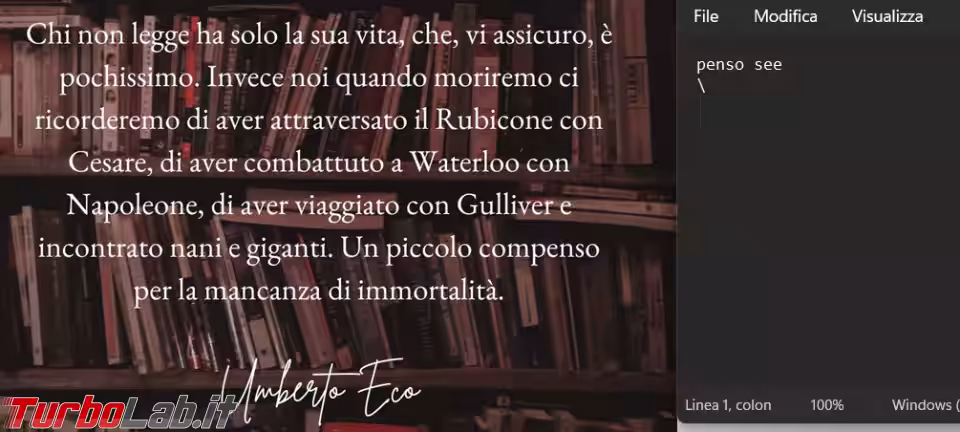Immagine 7 image7