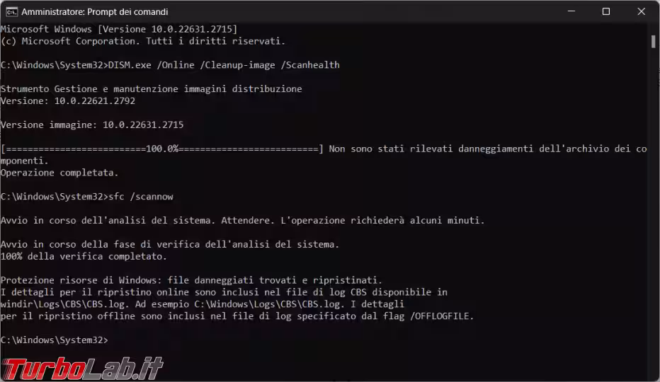 Immagine 7 image7