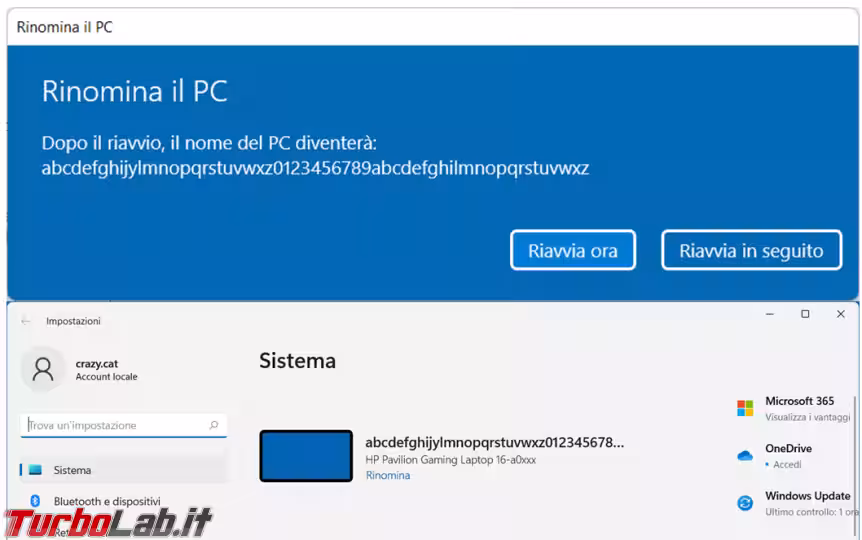 Immagine 9 image8 Immagine 9 image8