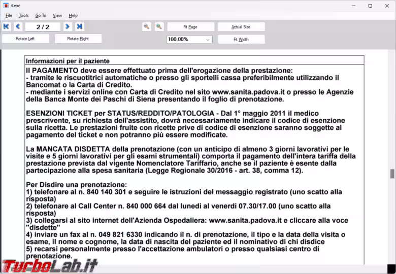 Immagine 8 image8
