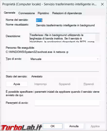 Immagine 8 image8