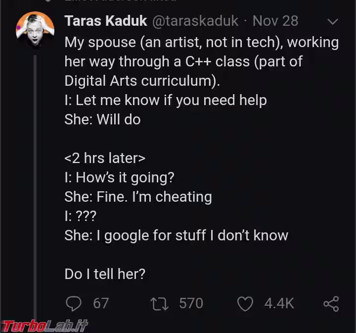 Immagine 12 programmer googling cheating Immagine 12 programmer googling cheating