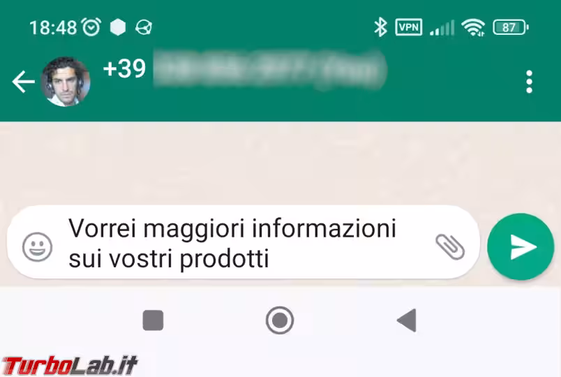 Immagine 3 Screenshot_2022-12-10-18-48-35-978_com.whatsa