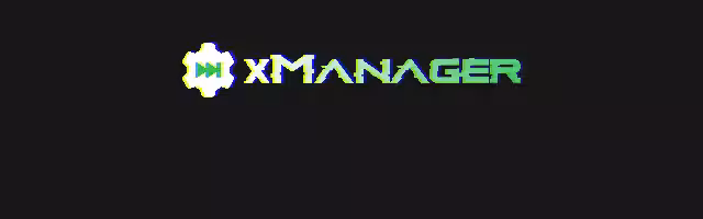 Immagine 1 xmanager
