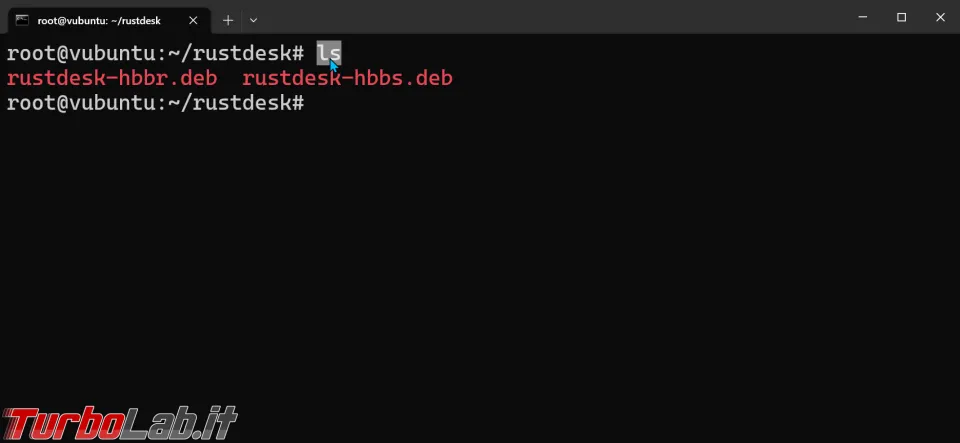 Immagine 13 zShot_1684101647