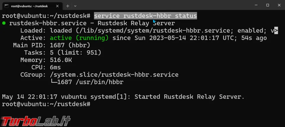 Immagine 15 zShot_1684101760