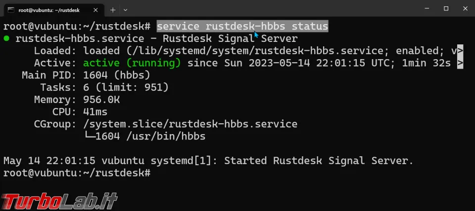 Immagine 16 zShot_1684101781