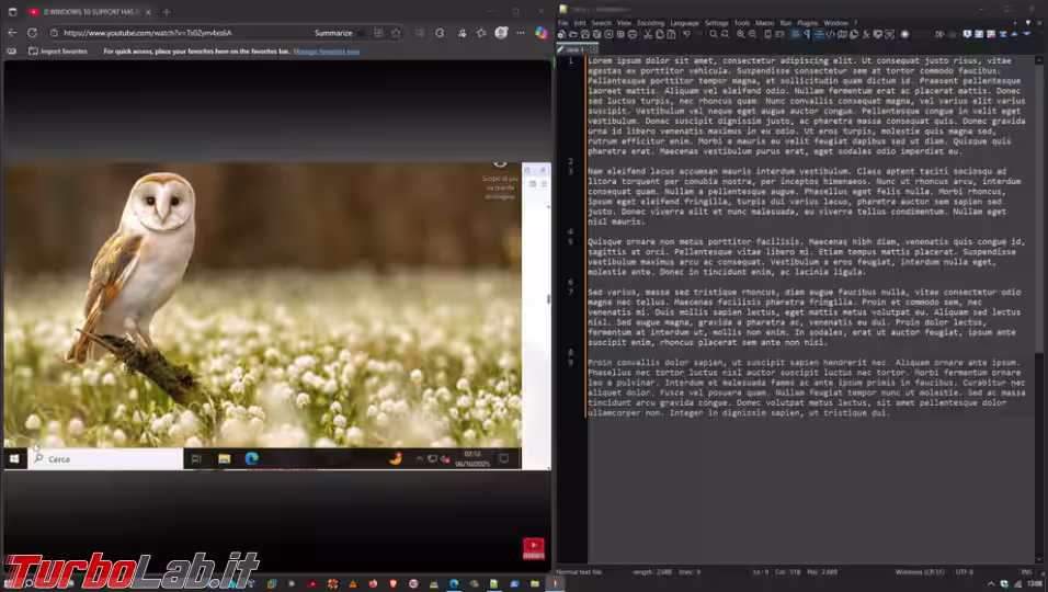 Immagine 2 afterW_nowatermark Immagine 2 afterW_nowatermark
