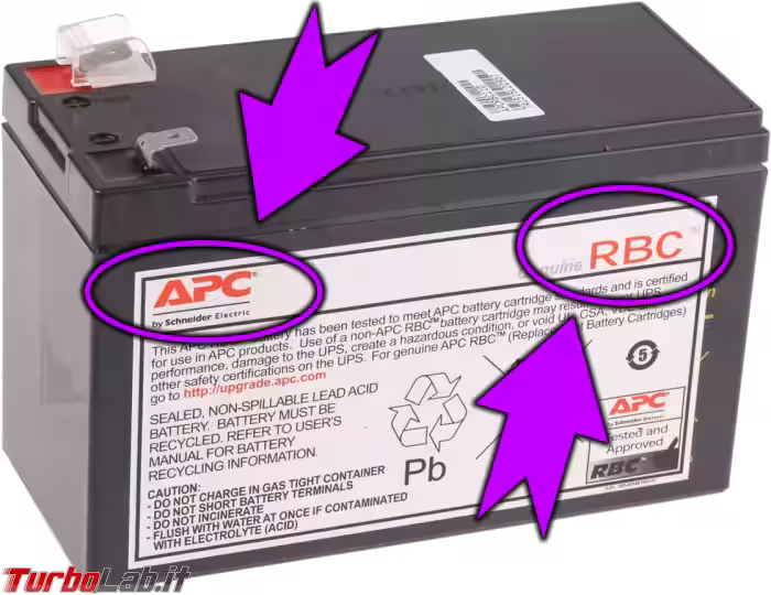 Immagine 7 apc rbc