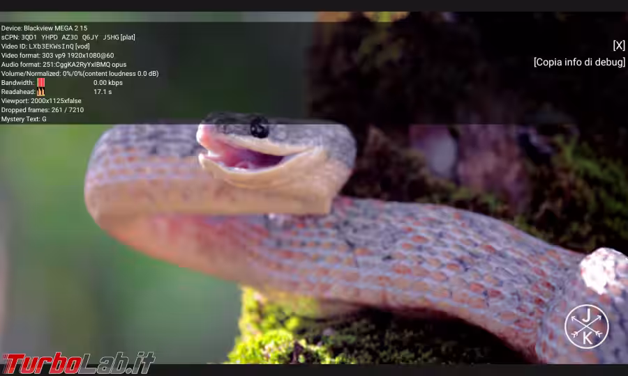 Immagine 8 Blackview MEGA 2 YouTube 1080p (1)