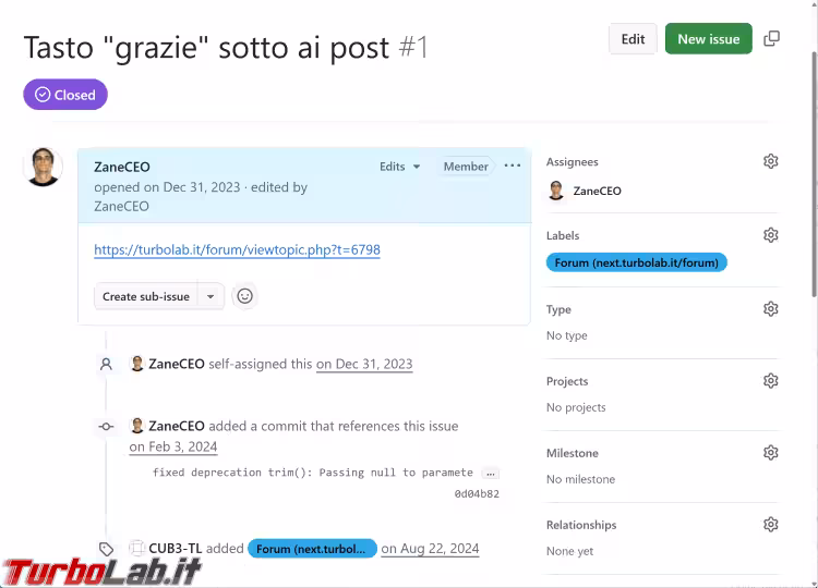 Immagine 5 github-issue