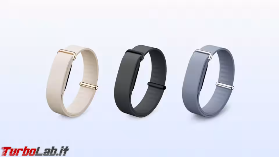 Immagine 2 Google Fitbit Air (3) Immagine 2 Google Fitbit Air (3)