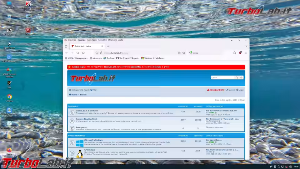 Immagine 1 image1