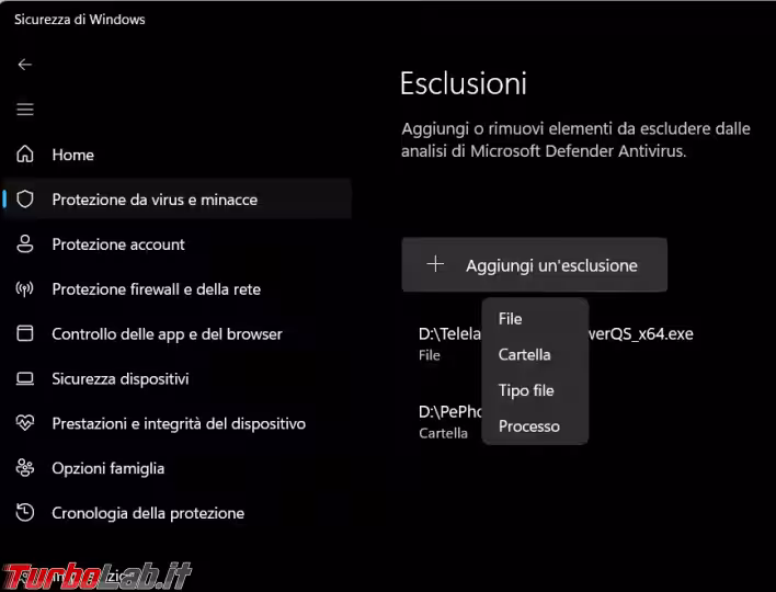 Immagine 1 image1
