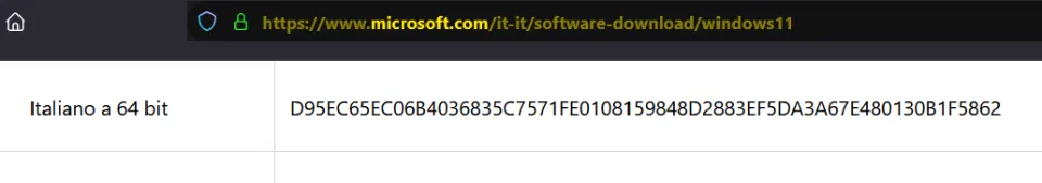 Immagine 1 image1 Immagine 1 image1