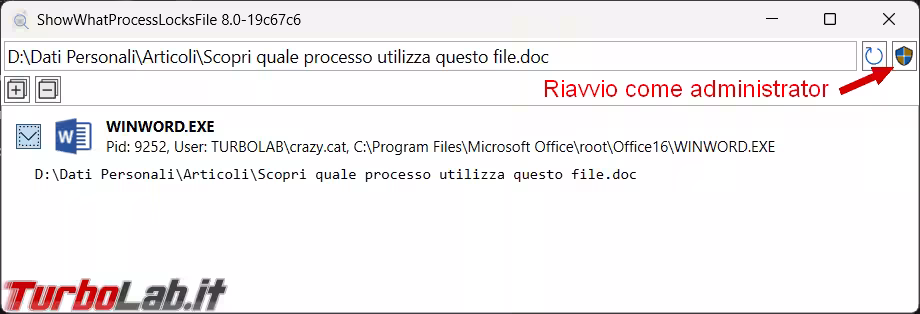 Immagine 1 image1