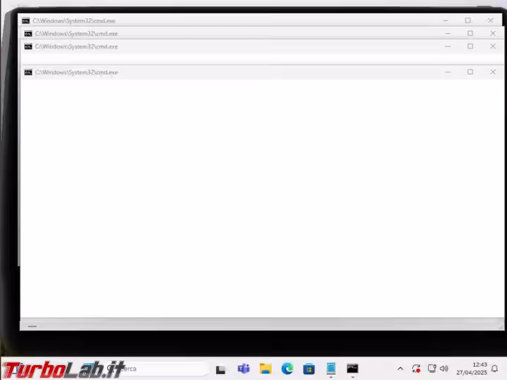 Immagine 1 image1