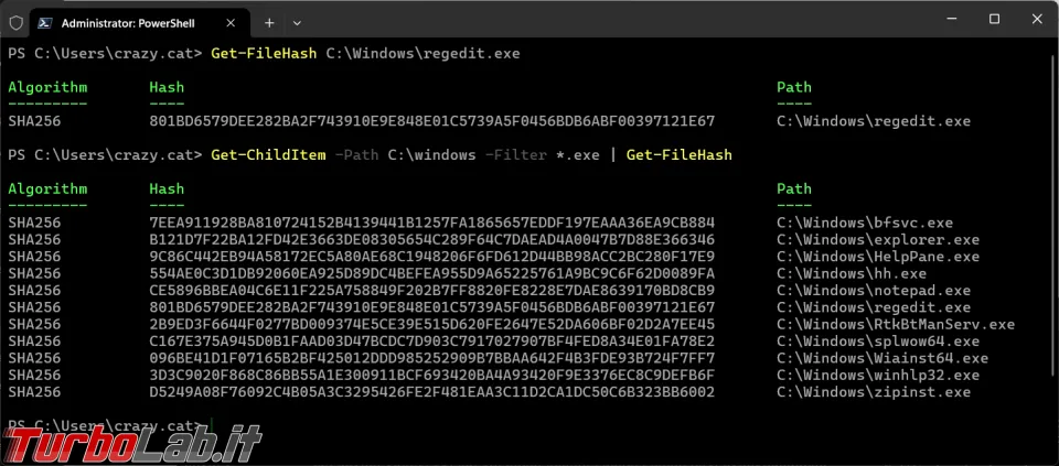 Immagine 2 image2 Immagine 2 image2