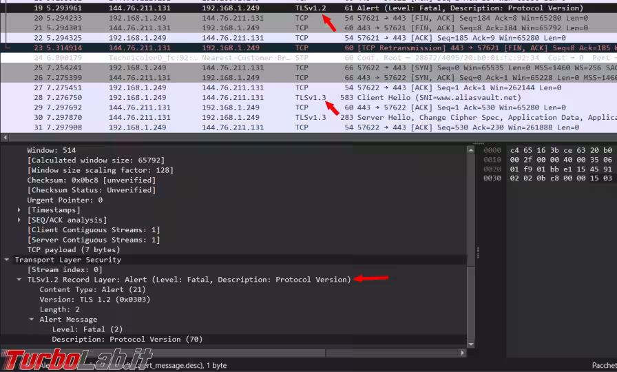 Immagine 2 image2 Immagine 2 image2