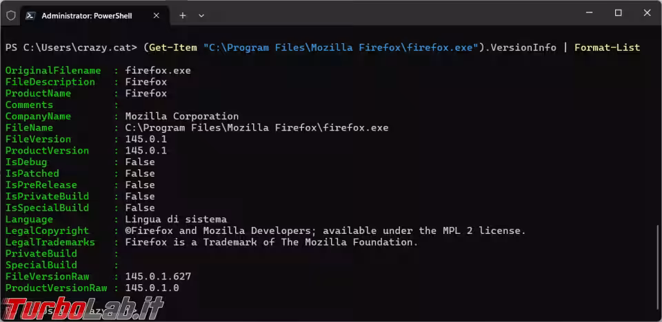 Immagine 2 image2 Immagine 2 image2