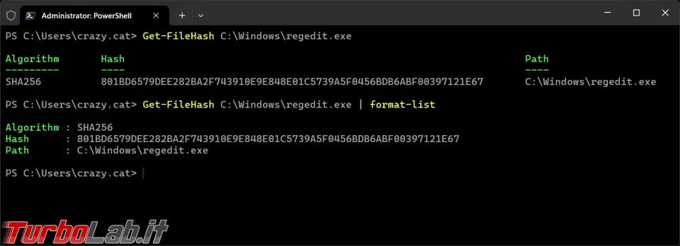 Immagine 3 image3 Immagine 3 image3