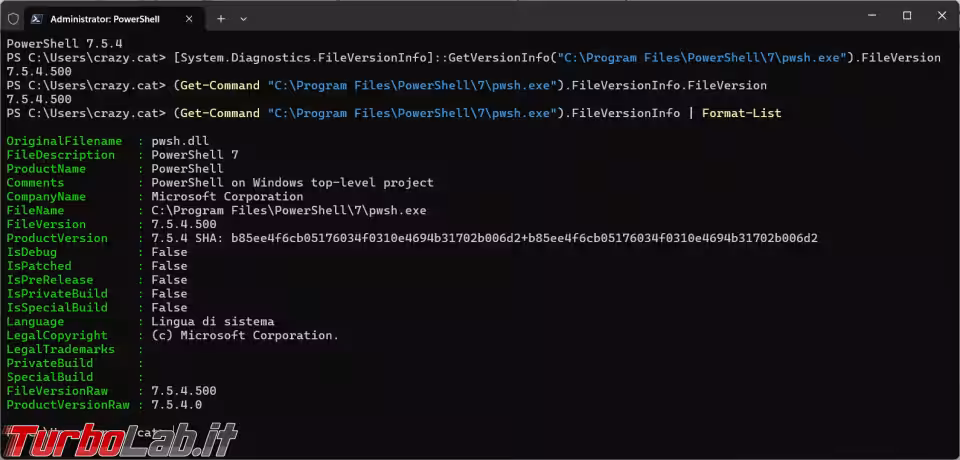 Immagine 3 image3 Immagine 3 image3