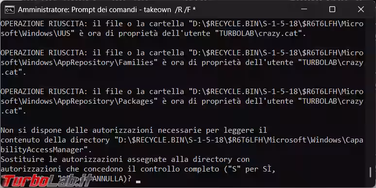 Immagine 4 image4