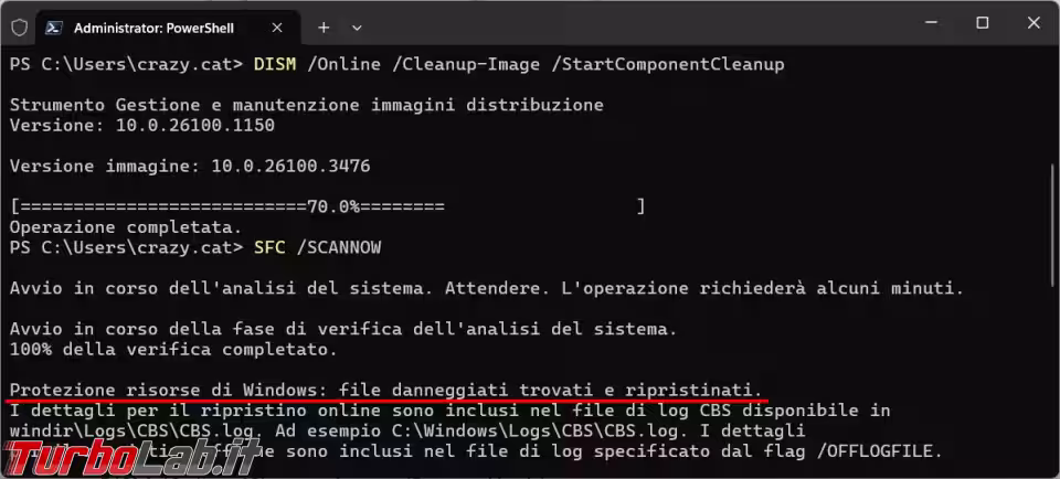 Immagine 4 image4