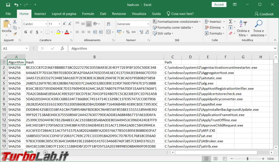 Immagine 5 image5 Immagine 5 image5