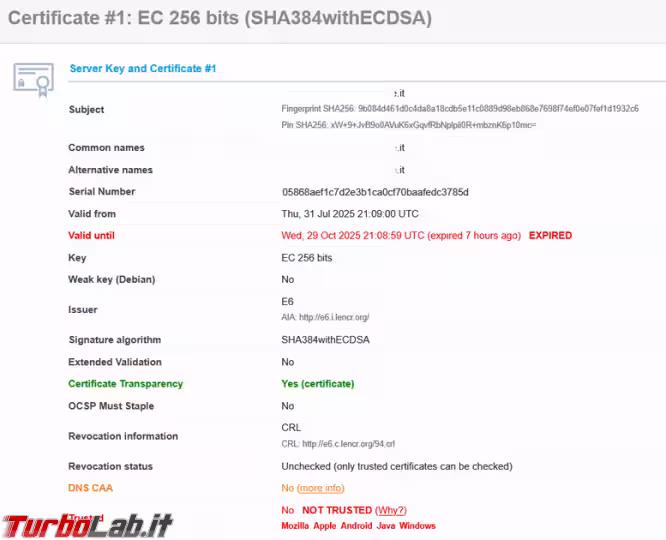 Immagine 5 image5 Immagine 5 image5