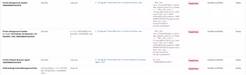 Immagine 6 image6