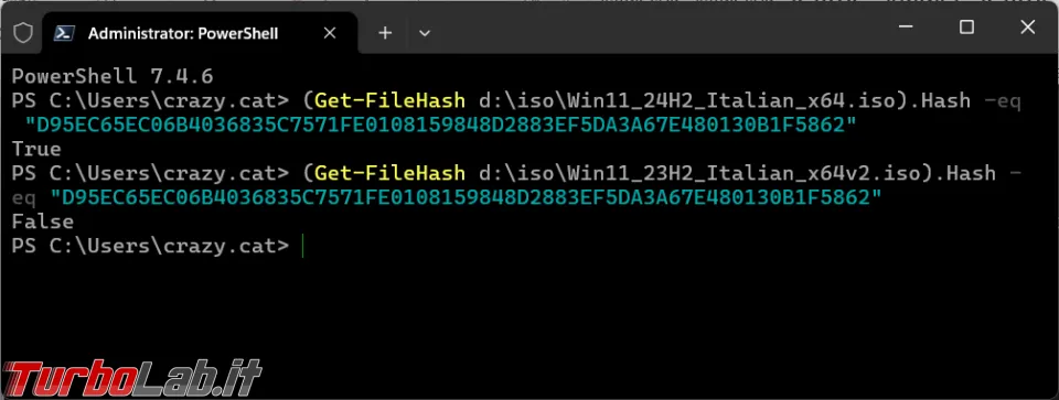 Immagine 7 image7 Immagine 7 image7