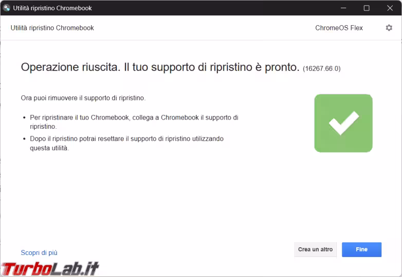 Immagine 7 image7