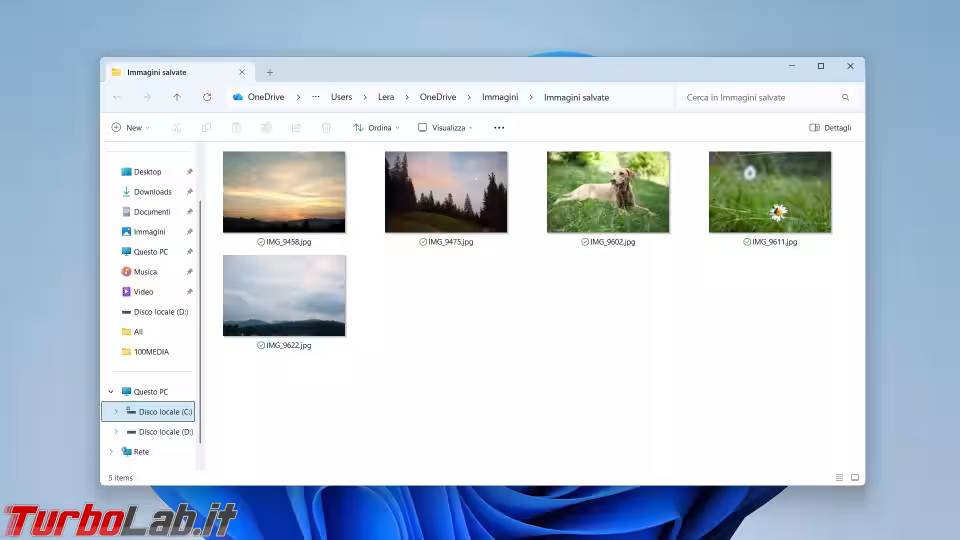 Immagine 7 pasted-1776378589834-946881